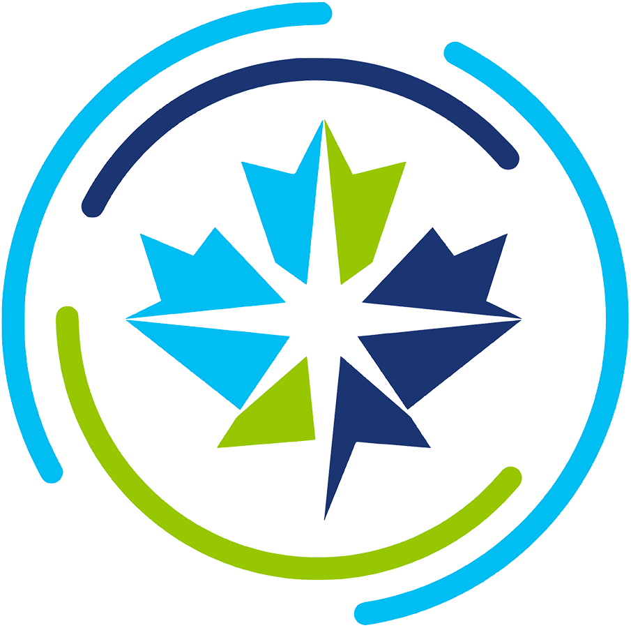 Canadian Premier League 2019-Pres Primary Logo DTF transfer for t shirt